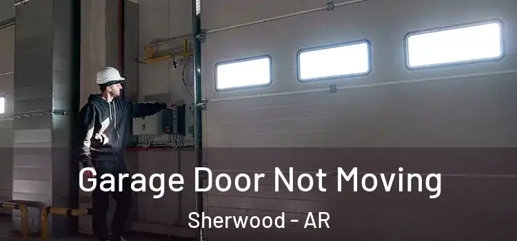  Garage Door Not Moving Sherwood - AR