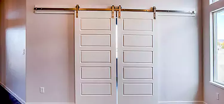 Glass Barn Door with Installation Hardware Kit Sherwood